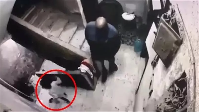 لقطات مثيرة..فيديو جديد يوثق جريمة تحرش سائق بـ طفلة العجوزة | شاهد