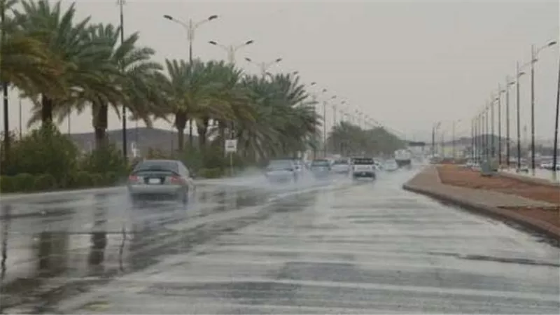 صقيع وبرودة شديدة.. حالة الطقس غدا الخميس 20-1-2022 