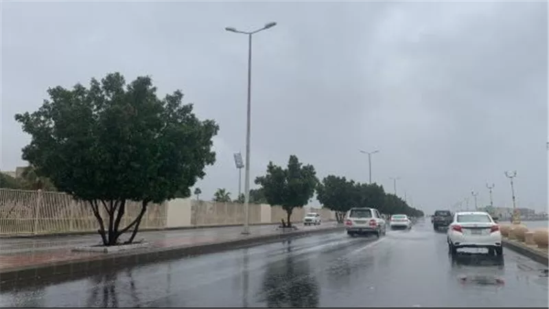 تقلبات جوية جديدة.. حالة الطقس غدا الجمعة 11-2-2022 