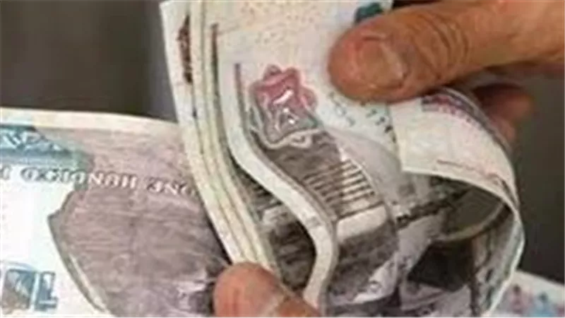 لموظفي القطاع الخاص.. شروط الحصول على أجر أسبوعي من صاحب العمل