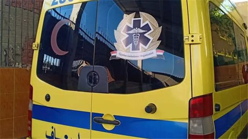 بسبب فتاة..طالب بالمرحلة الثانوية يطعن زميله فى المعصرة 