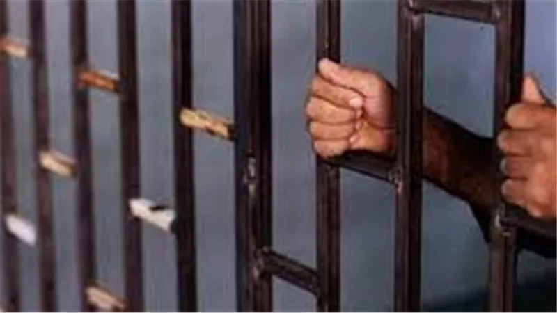 رفضت أمها مواعدته فحرق قلبها.. المؤبد لـ سوداني أنهى حياة طفلة بعين شمس 