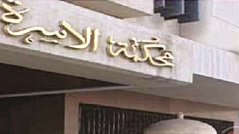 نفسي أشوفه وألعب معاه.. «حبيبة» تطالب والدها أمام المحكمة برؤيتها