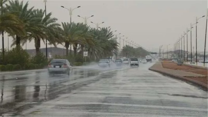 تحذير من هذا الأمر..الأرصاد تكشف موعد نهاية الموجة الباردة | فيديو