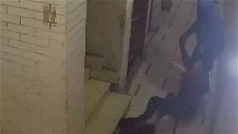 خطفها في السيارة وهرب.. سائق يسحل طليقته ويعتدي عليها بالضرب بالهرم | شاهد