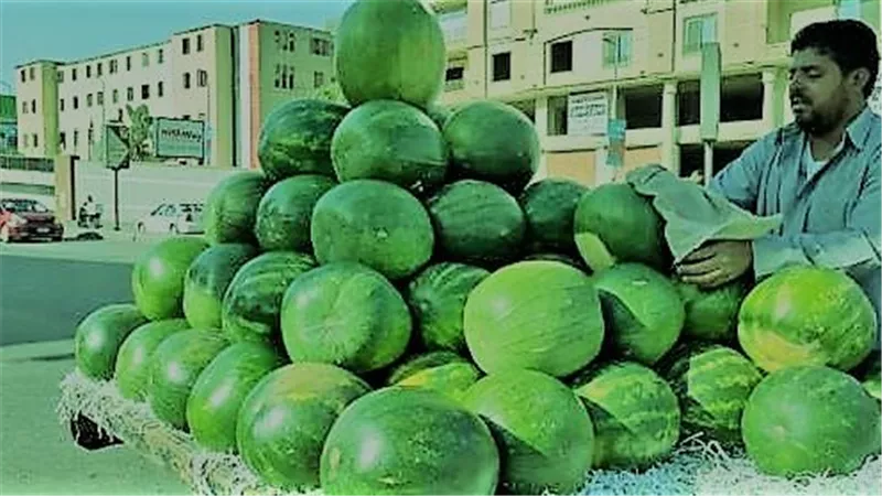 صيني ولا مُهجن ولا مُسرطن.. الزراعة تكشف حقيقة البطيخ المتوفر في الأسواق