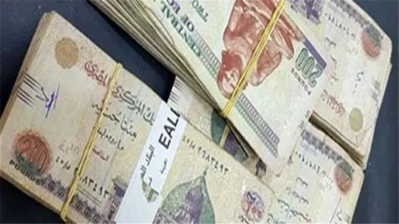احسب زيادة مرتبك ومعاشك.. التفاصيل الكاملة للعلاوات الدورية والفئات المستثناة منها 