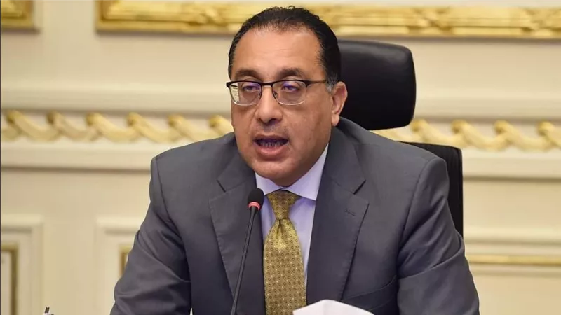هل فرضت رسوم؟..بيان عاجل من الحكومة بشأن صادرات الفراولة المجمدة