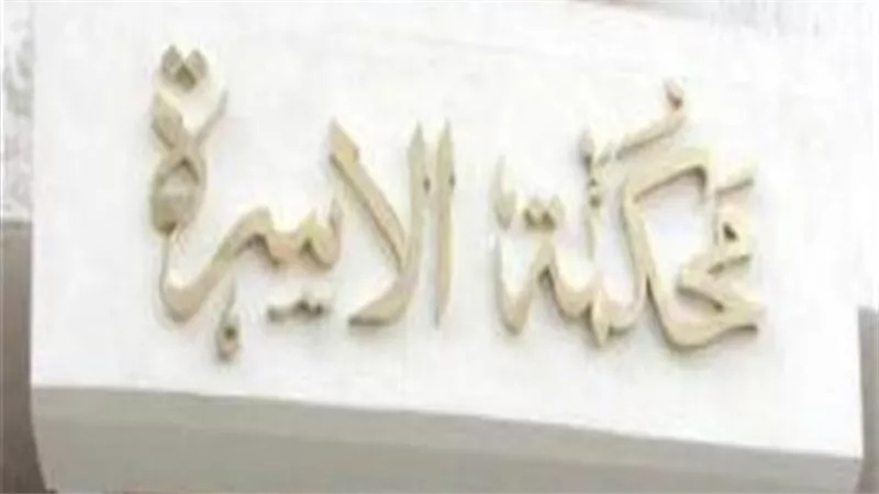 بتاع ستات.. دنيا تطلب خلع زوجها في شهر العسل