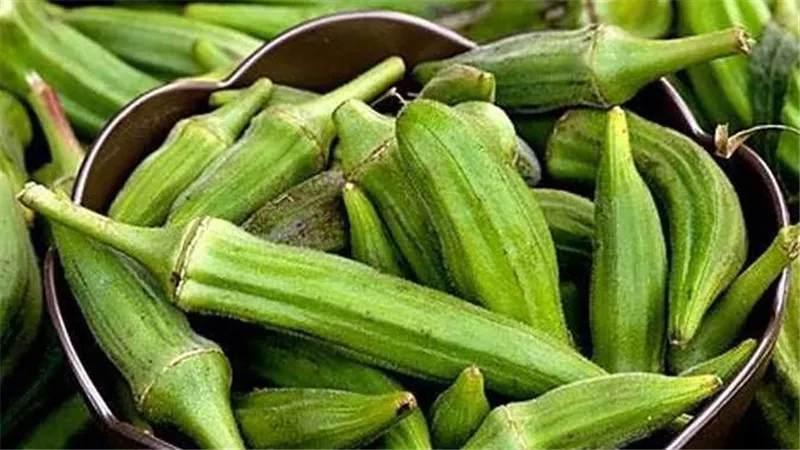 هذا سبب قلة المعروض..حقيقة وصول سعر البامية إلى 200 جنيه للكيلو