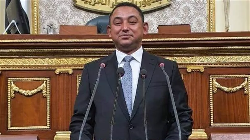 ناصر عثمان: الرؤية الإستراتيجية للرئيس السيسي لتوفير السلع الإستراتيجية أثبتت دقتها