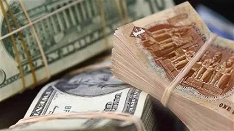 مخاوف من زيادة الأسعار..ماذا يعني رفع سعر الدولار الجمركي إلى 17 جنيها في مايو؟