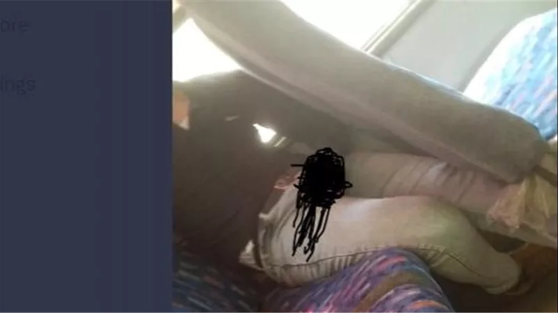 فيديو تلميحات جنسية بالقول والفعل.. النيابة تحيل «متحرش النزهة» للمحاكمة الجنائية