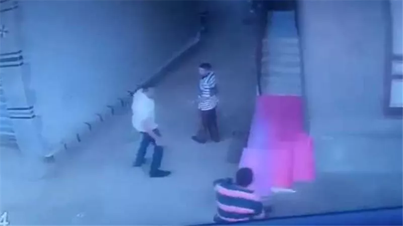 لقطات صادمة..بلطجي يعتدي على مُسن بالدقهلية بسلاح أبيض | فيديو