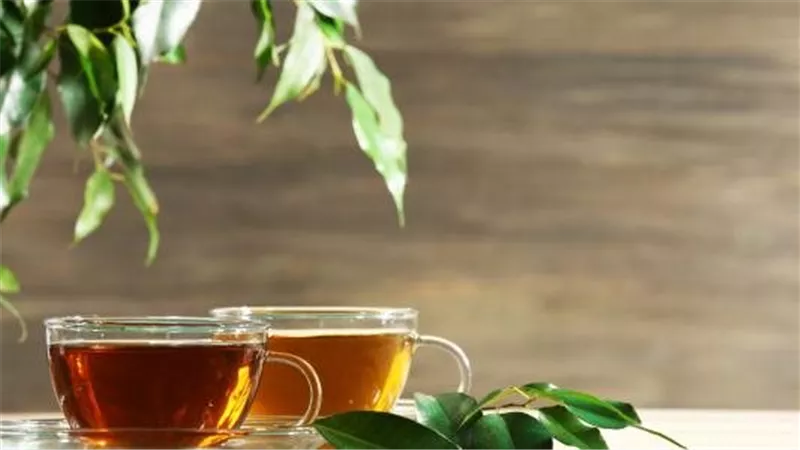 لن تتوقع.. كوب واحد من الشاي يوميا يفعل العجب لصحة عظامك