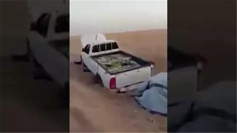  ادعوا لنا بالثبات.. شباب يصورون لحظات وفاتهم المأساوية في الصحراء | شاهد