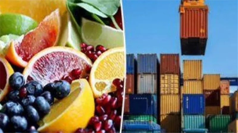 47 شركة مصرية تبحث زيادة صادرتها من الصناعات الغذائية وزيادة التبادل التجاري مع 4 دول عربية