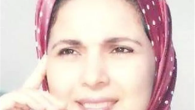 هانم داود تكتب..الأنطولوجيا