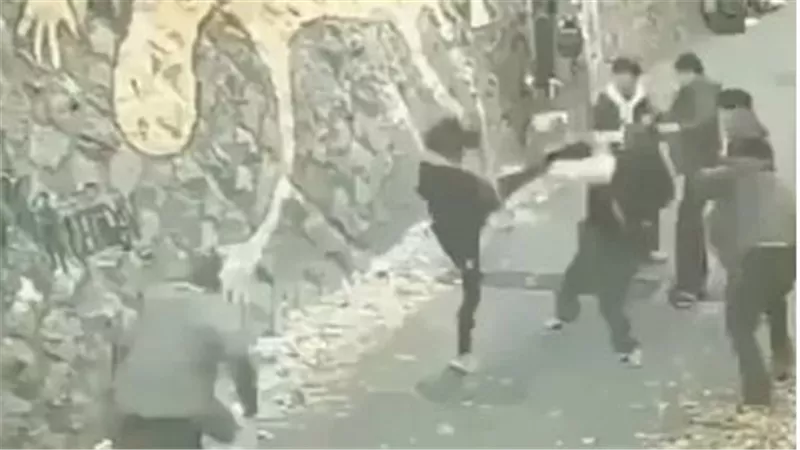 على طريقة جاكي شان.. فتاة تهزم 6 رجال حاولوا التحرش بها | فيديو