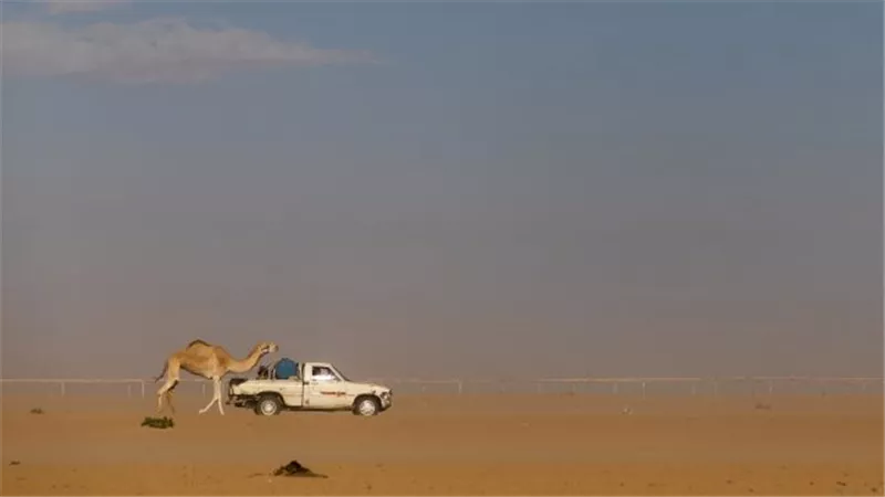 المكالمة الأخيرة.. تفاصيل صادمة في وفاة كويتي وطفله عطشًا في صحراء السعودية