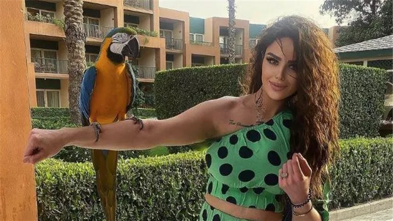 أنا ماليش في الغلط.. رحيل ذكري تبكي بسبب محمد الشقنقيري