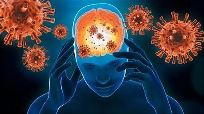رعب جديد للمثليين.. كل ما تريد معرفته عن المكورات السحائية