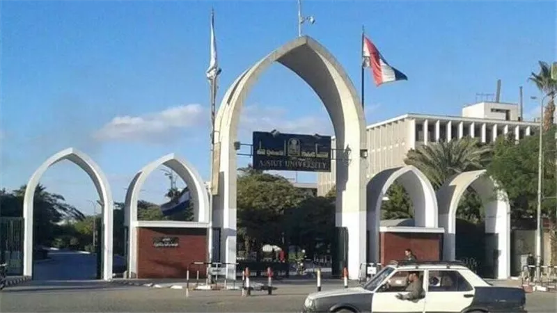 سيناريو نيرة أشرف يتكرر.. تفاصيل صادمة في تهديد طالب بجامعة أسيوط لزميلته بالقتل