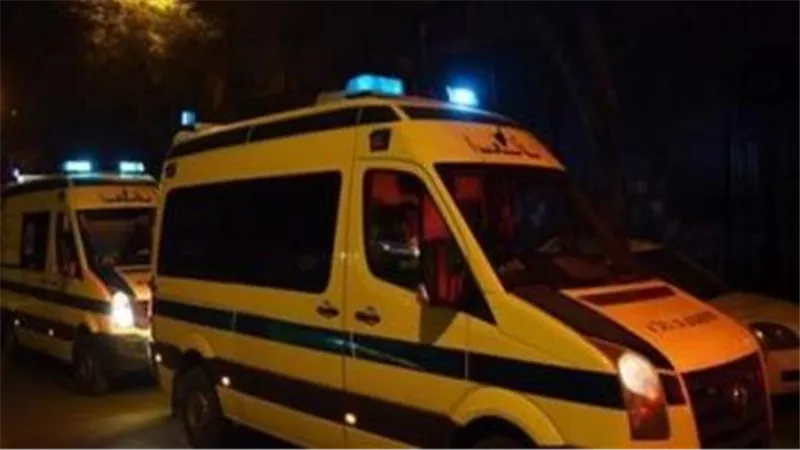 خناقة على القايمة.. تفاصيل صادمة في تمزيق عريس جسد حماه بـ 25 طعنة بالمنوفية
