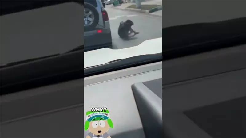 سقطت من نافذة السيارة.. حادث مروع لفتاة أثناء تصوير مقطع «تيك توك» | فيديو