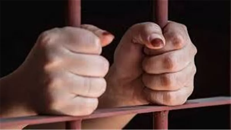 قلب ولدي عليّا حجر.. حكاية سرقة فتاة لأموال ومشغولات والدتها الذهبية