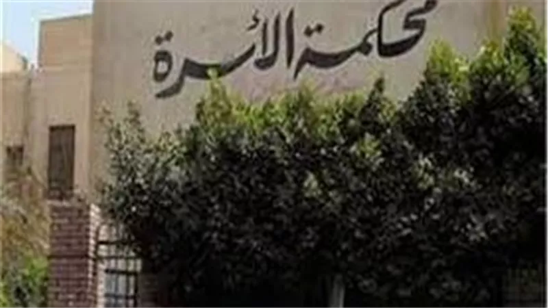 سرق ورق الزواج العرفي وتنصل من الجنين..قرار عاجل في دعوى إثبات نسب أقامتها سيدة ضد لاعب شهير