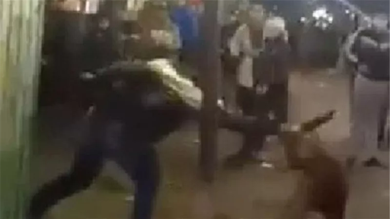 مبيسمعش الكلام.. تفاصيل ضبط شاب عذب كلبًا حتى الموت في القاهرة