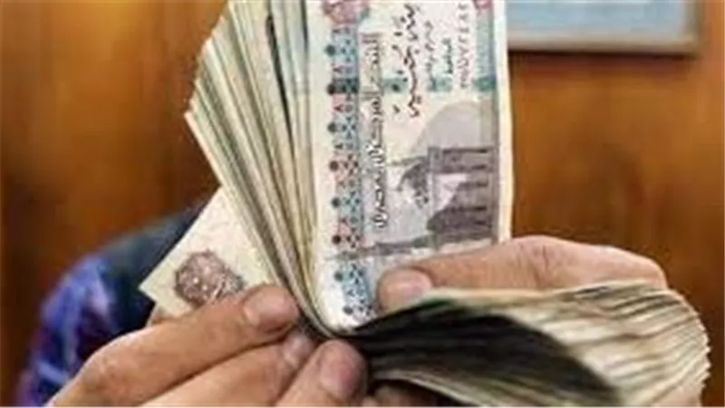 بصورة البطاقة.. كيف تحصل على 11 ألف جنيه شهريا من بنك ناصر ؟