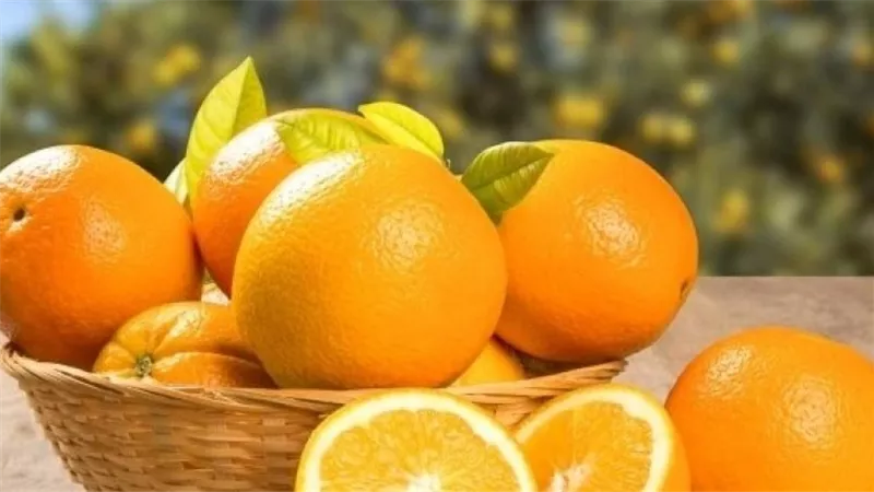 مشكلات بالجهاز الهضمي.. ماذا يحدث للجسم عند الإفراط في تناول البرتقال؟