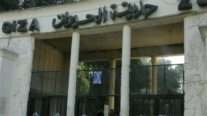 الزراعة تكشف حقيقة غلق حديقة الحيوان الأسبوع المقبل لمدة عام
