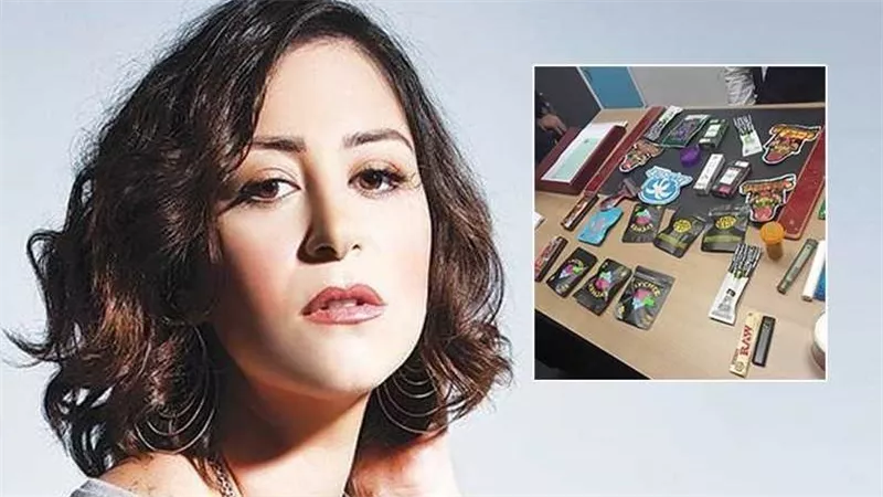 بعد حكم حبسها عاما مع إيقاف التنفيذ.. تفاصيل الصحيفة الجنائية للفنانة منة شلبي 
