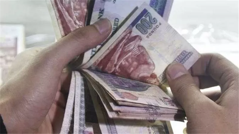 هتكسب 2000 جنيه كل شهر وأنت في بيتك.. حساب العائد لـ شهادة 25% وطريقة الشراء من المنزل