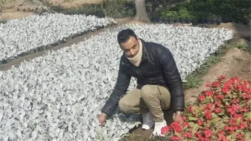 تبادلوا الاتهامات في الشرف.. مفاجآت مثيرة في مقتل شاب علي يد جاره بالاميرية