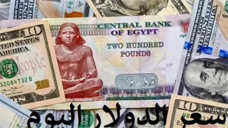 وفقا لآخر تحديث.. سعر الدولار اليوم الجمعة 20-1-2023