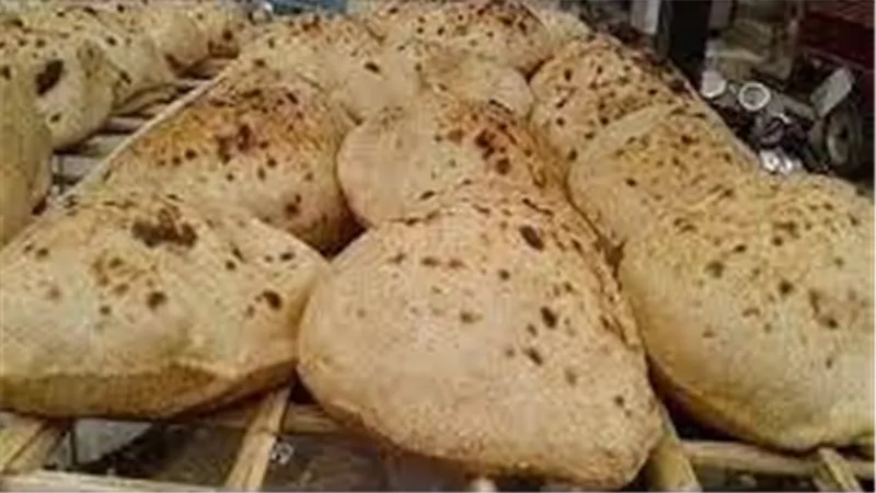 كارت العيش الجديد.. أبرز المعلومات عن منح الخبز لغير حاملي البطاقات التموينية