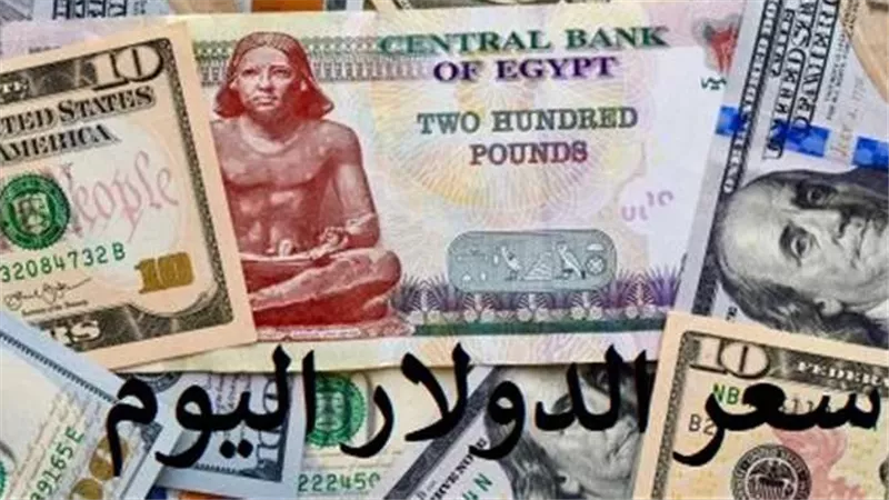 آخر تحديث.. سعر الدولار اليوم الثلاثاء 31-1-2023