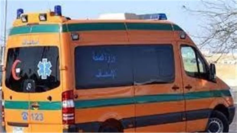 بسبب مكالمة.. طالب إعدادي يمزق جسد زميله في سوهاج