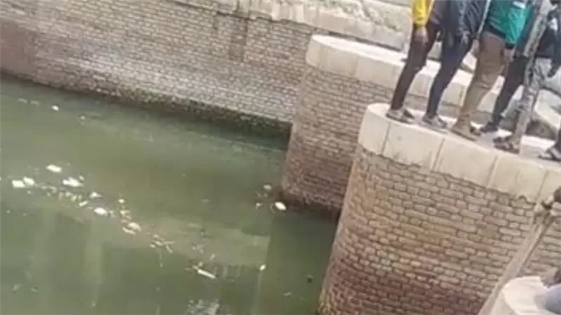 حيلة شيطانية.. شاب يقتل ابن عمه ويلقي جثته برشاح المرج
