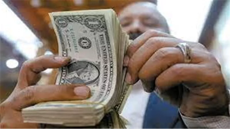 الحكومة تحسم الجدل.. حقيقة استقطاع جزء من تحويلات المصريين في الخارج للدولة