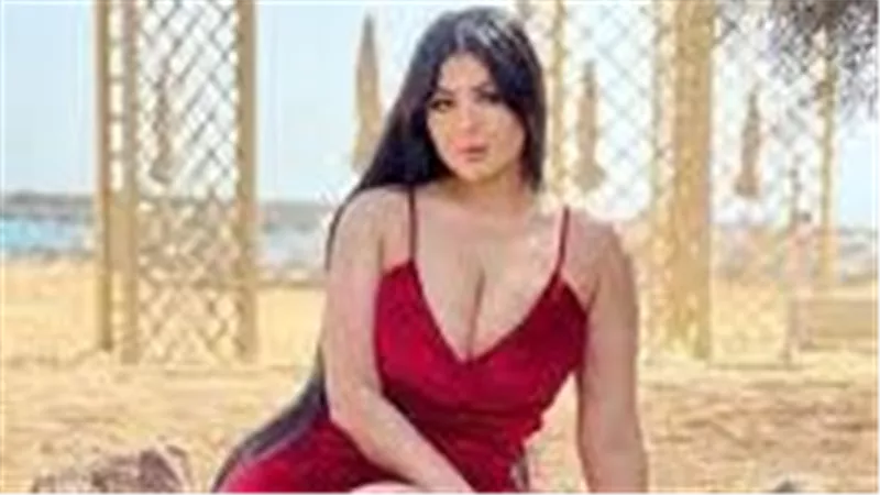 من إهانة الزي الفرعوني لفيديوهات خادشة.. ماهي العقوبة المتوقعة على سلمى الشيمي ؟