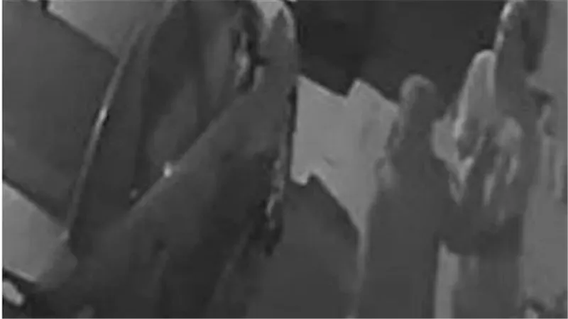 بسبب القطط.. تفاصيل صادمة في سحل شاب لجارته المسنة بلا رحمة بالعجوزة