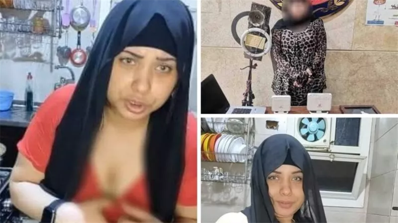 صور ومقاطع خادشة.. تفاصيل الحكم بحبس أنوش ملكة الروتين المنزلي