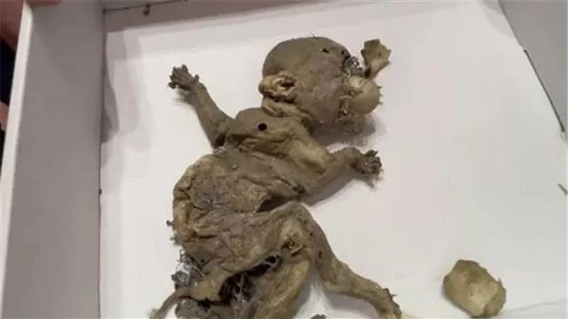 يشبه العفريت.. العثور على أمر مرعب في مستودع مهجور