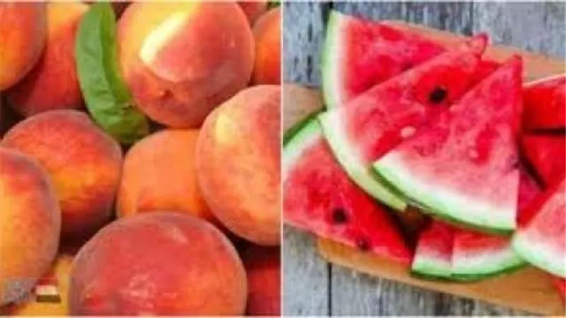 هل هو آمن أم لا؟..القصة الكاملة لظهور البطيخ والخوخ قبل أوانه