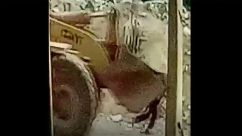 انتقام بشع.. سائق يدهس مهندس بـ لودر بسبب خلافات العمل بالتجمع